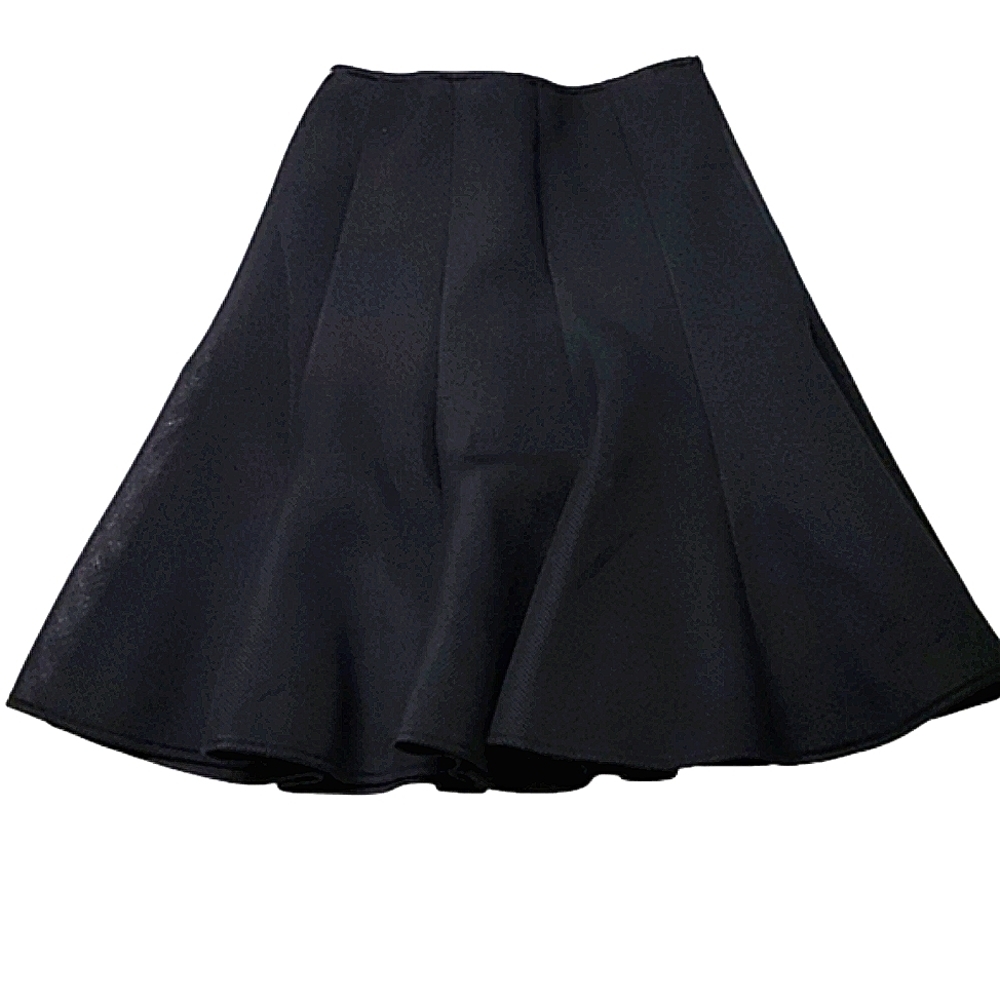 Black mesh skirt